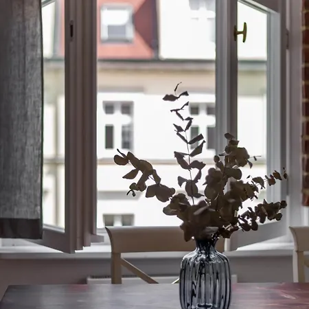 Klimatyczne Mieszkanie W Centrum