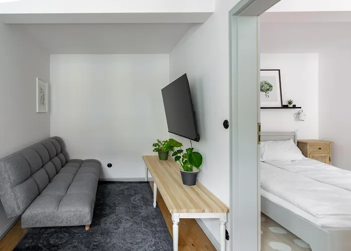 Apartamento Klimatyczne Mieszkanie W Centrum Poznan