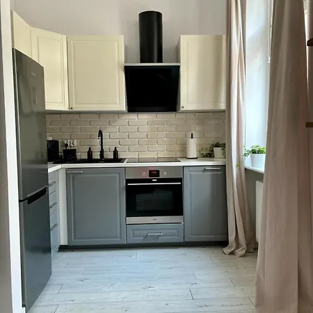 Klimatyczne Mieszkanie W Centrum *