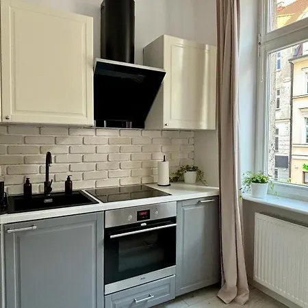 Klimatyczne Mieszkanie W Centrum Apartman *