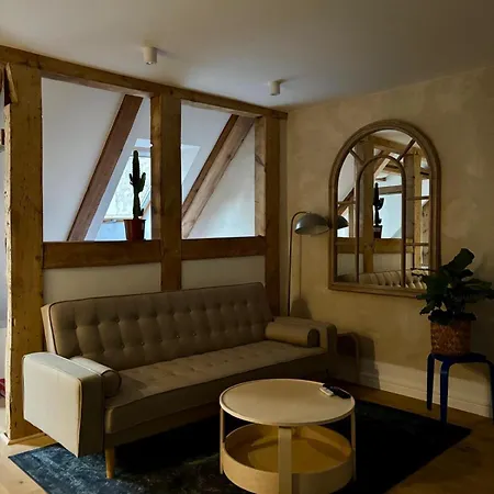 Daire Klimatyczne Mieszkanie W Centrum Poznan